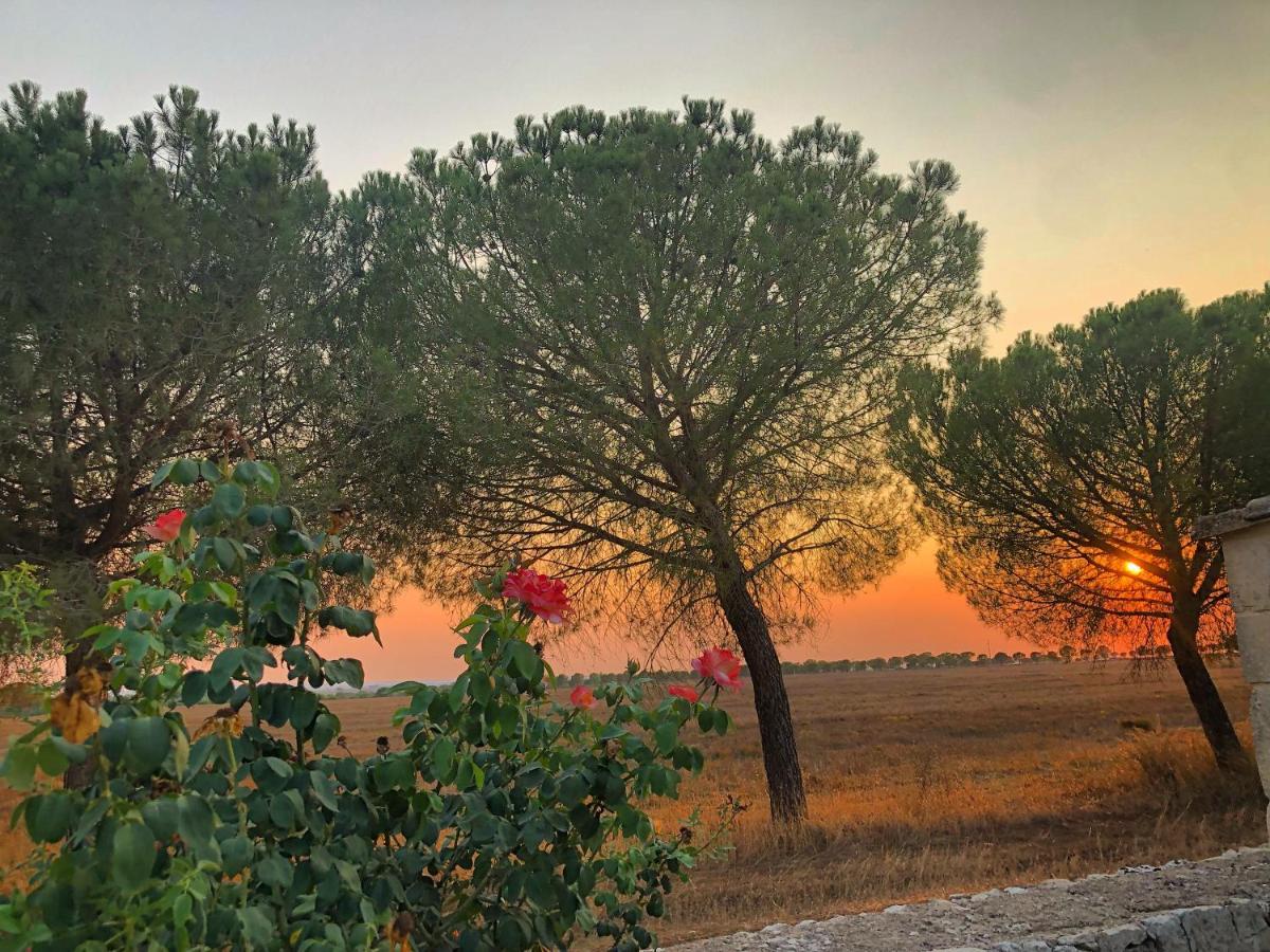 Masseria Casina Montana Corigliano d'Otranto Luaran gambar