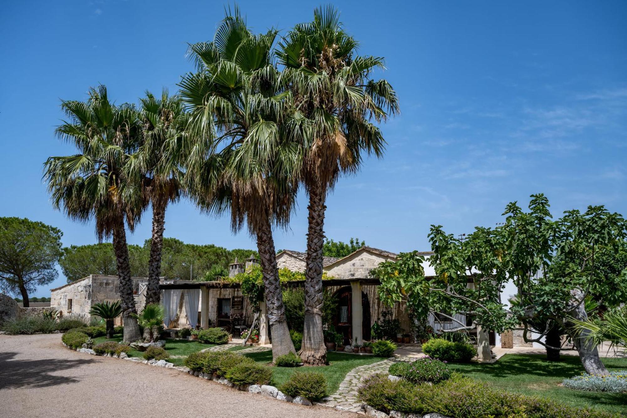 Masseria Casina Montana Corigliano d'Otranto Luaran gambar