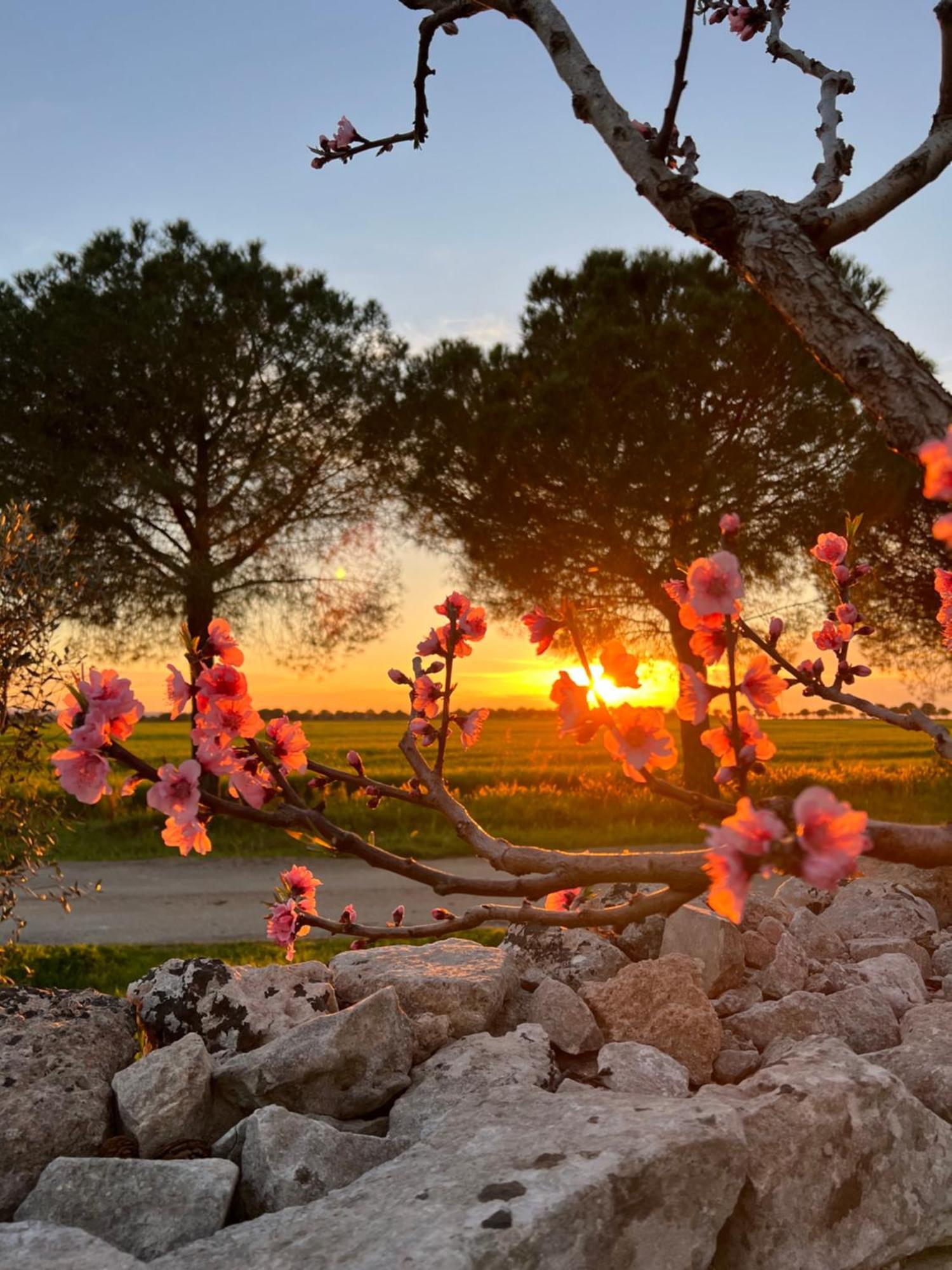 Masseria Casina Montana Corigliano d'Otranto Luaran gambar